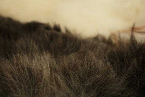 Natuurlijke schapenvacht grijs (110x60cm)
