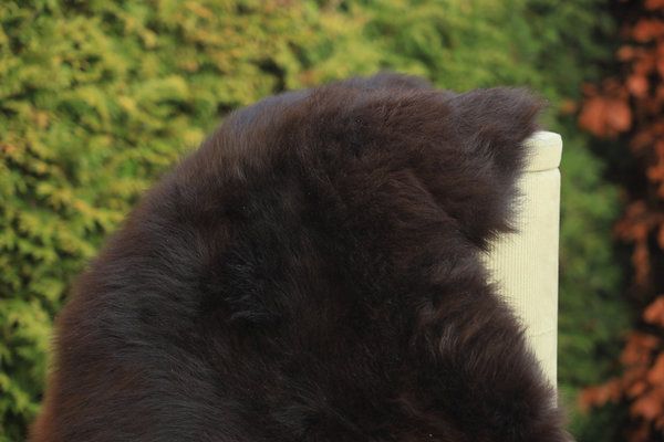 Natuurlijke schapenvacht donkerbruin (100x60cm)