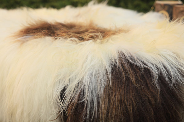 IJslandse schapenvacht wit/bruin (115x75cm)